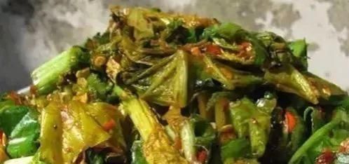 黄瓜腌制咸菜方法大全