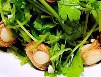 黄瓜腌制咸菜方法大全