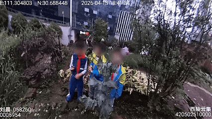 罂粟花种植技术及要点