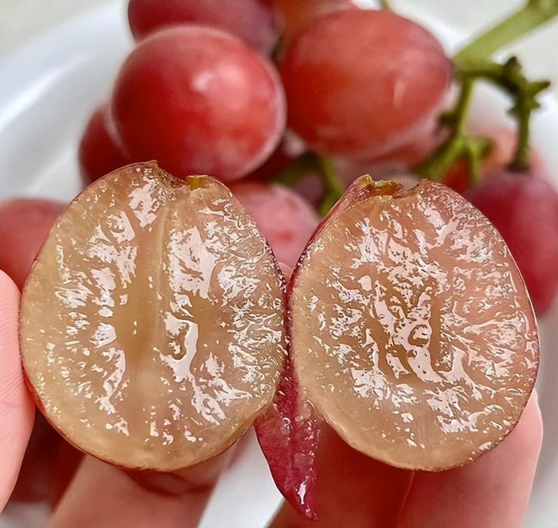 无核白葡萄特点