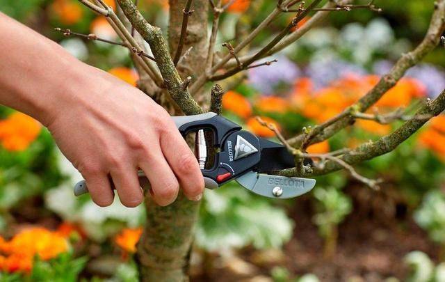 Plantation plantation technology
