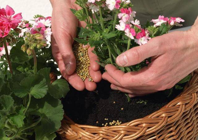 Plantation plantation technology