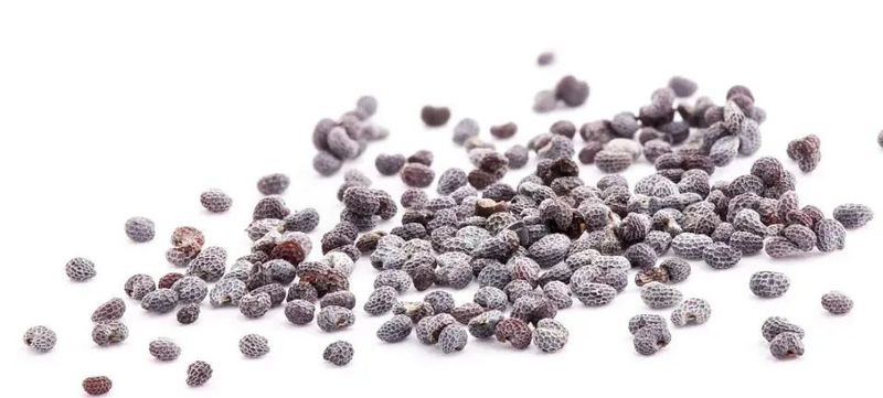 罂粟花种植技术及要点