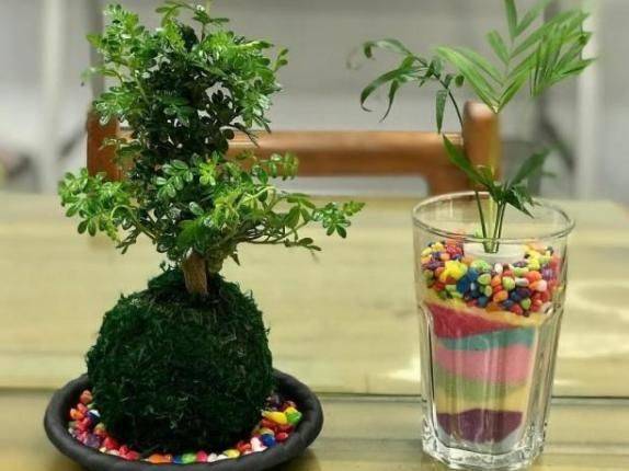 Plantation plantation technology