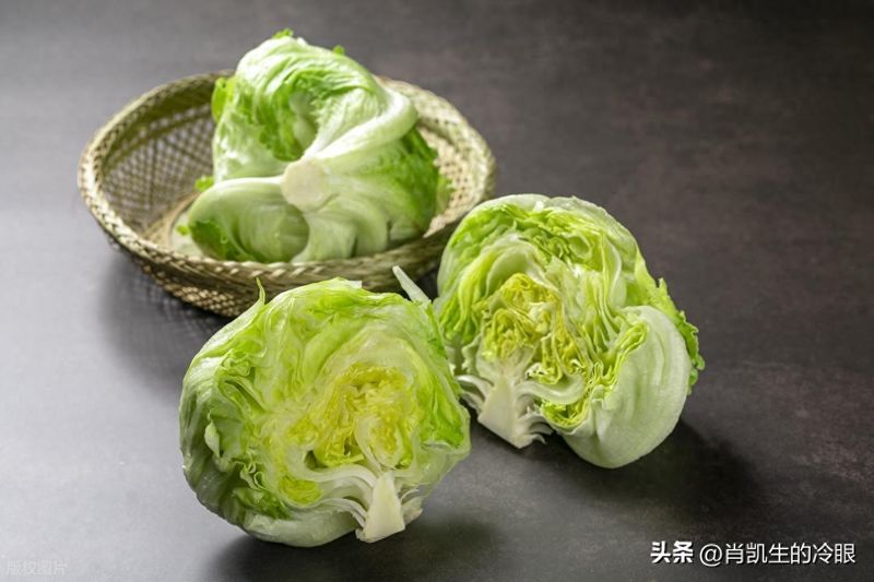 生菜的种植方法和时间