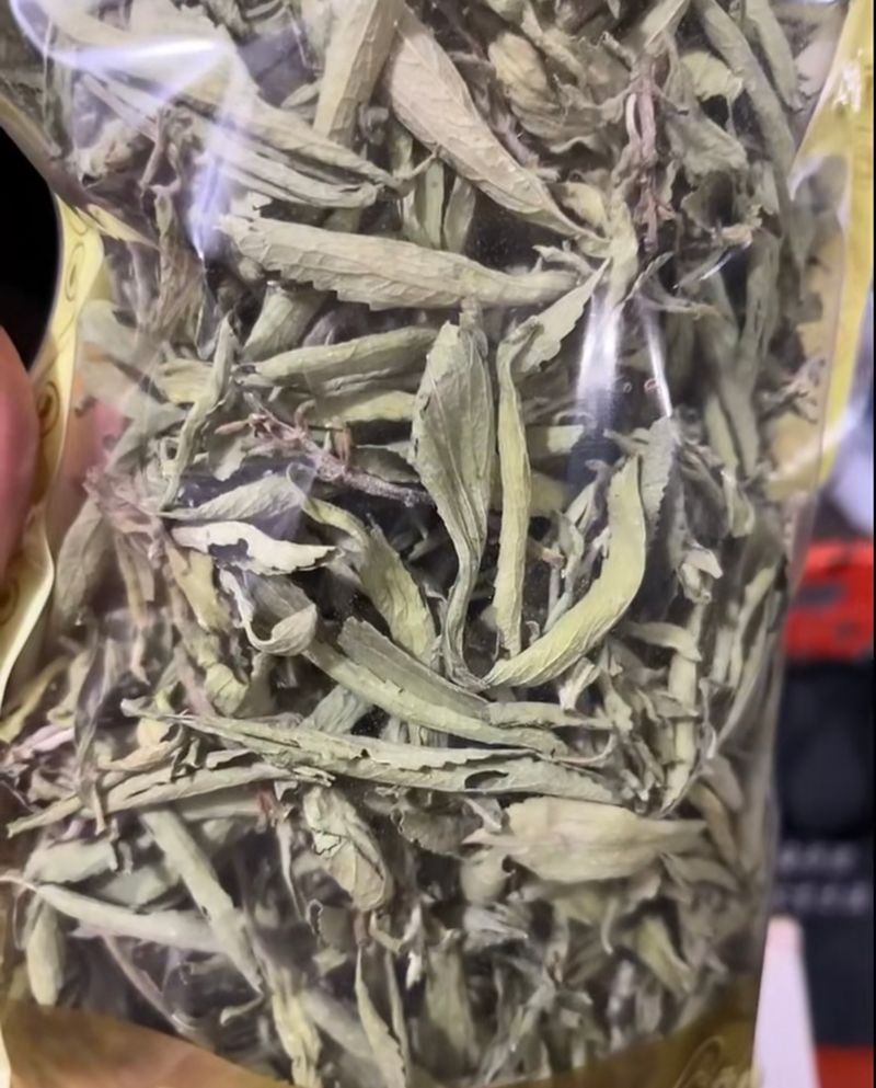 甜叶菊种植技术