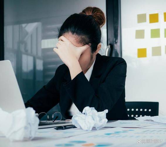 seo每日工作