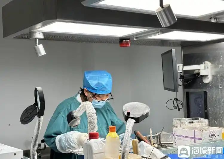 骨组织切片步骤