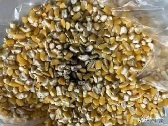 小学生食品卫生安全知识教育