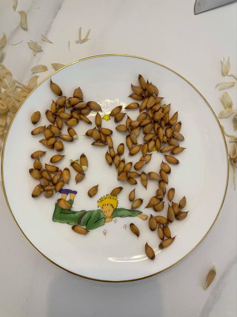 菠萝蜜种植方法