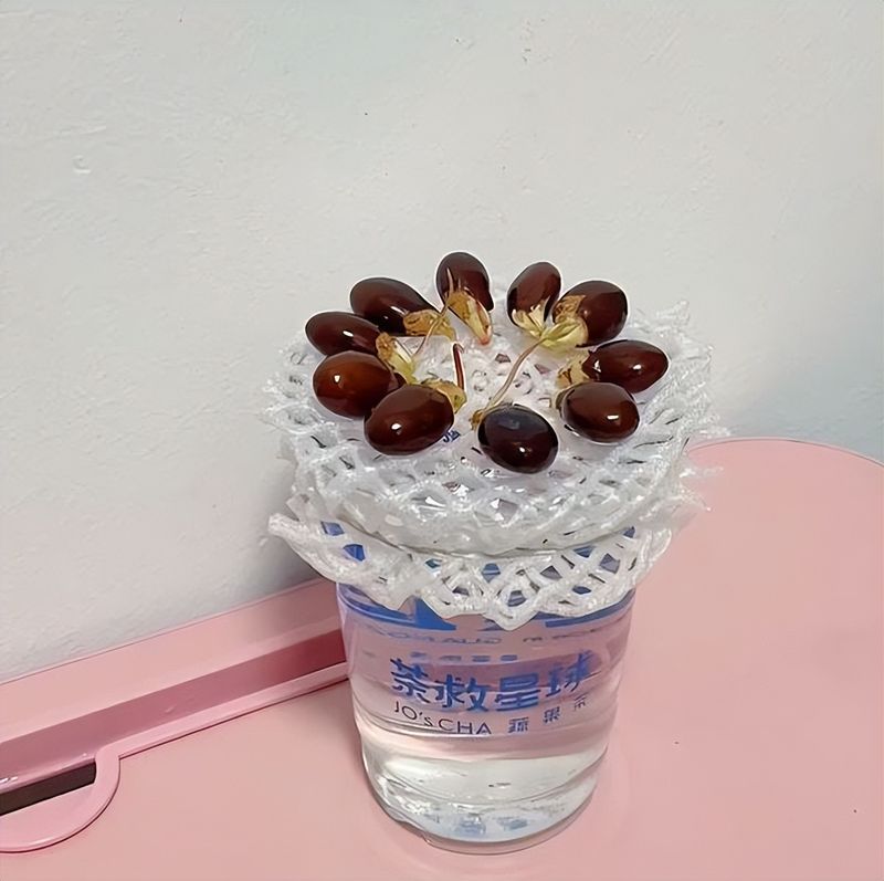 菠萝蜜种植方法