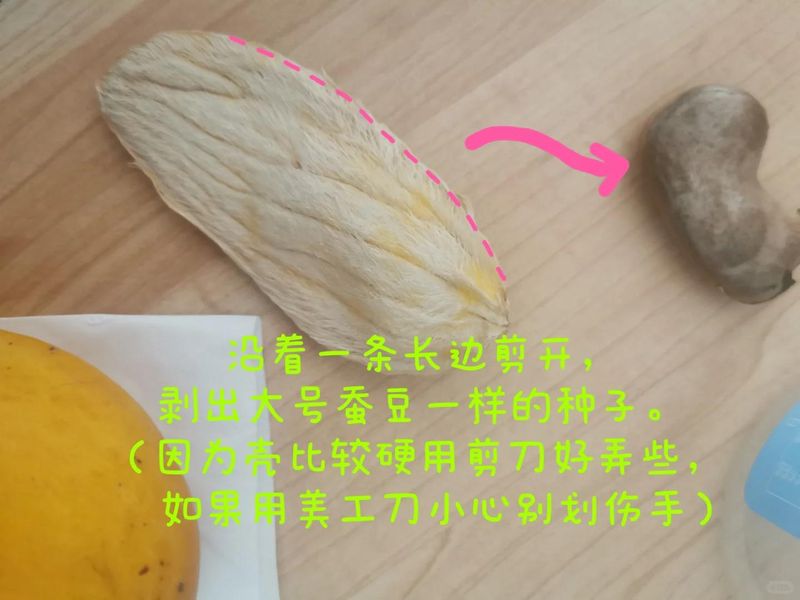 菠萝蜜种植方法