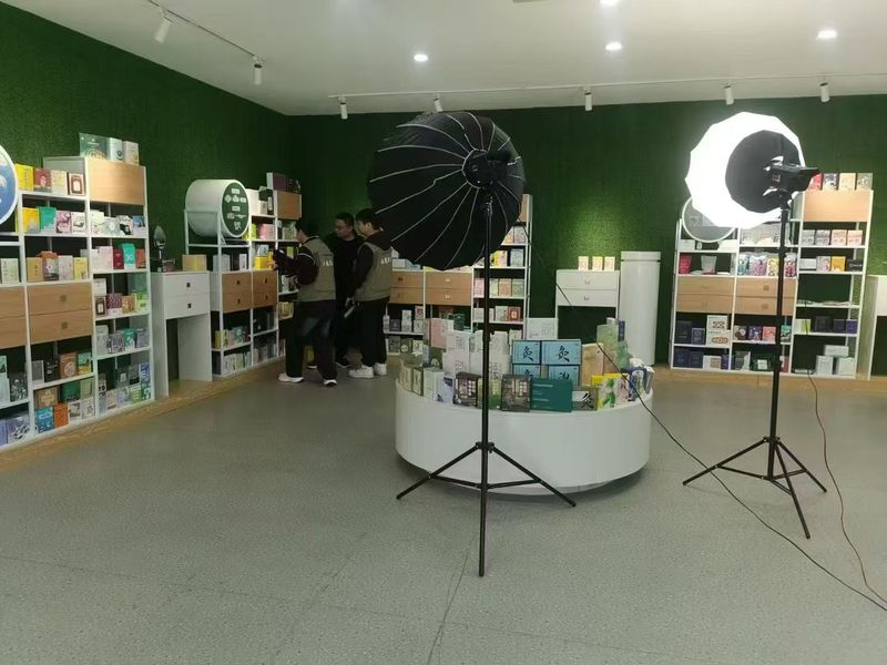 seo优化方案书