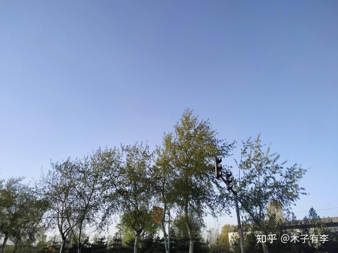 性格孤僻的男人特点