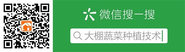 蔬菜种植技术培训活动图片