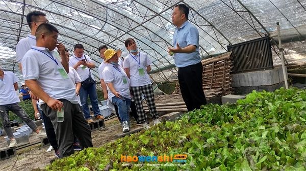 蔬菜种植技术培训活动图片