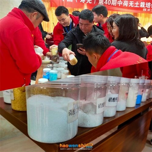 蔬菜种植技术培训活动图片