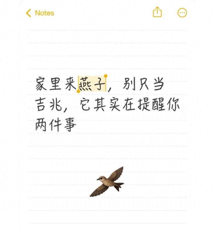 哪些是益鸟,有什么作用和特点