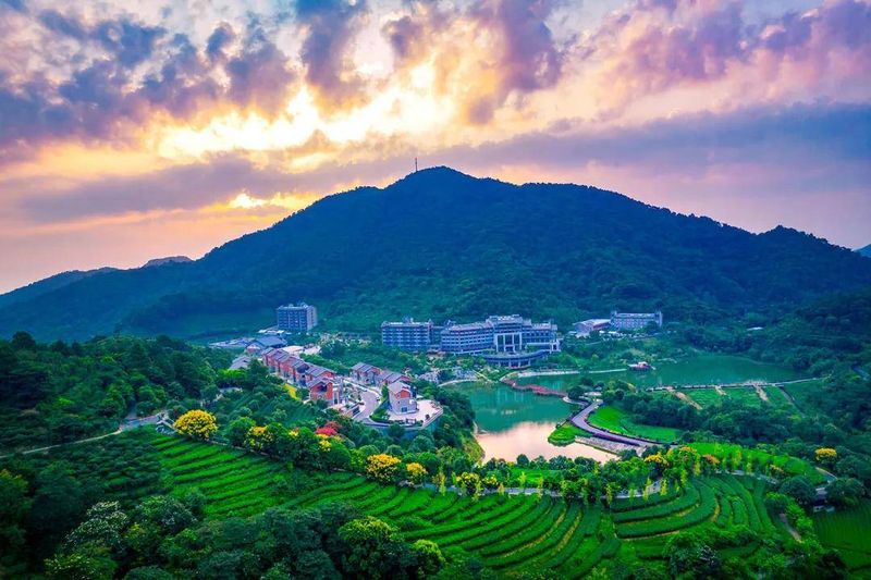 云浮禅龙峡木屋温泉小别墅价格