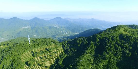 云浮禅龙峡木屋温泉小别墅价格