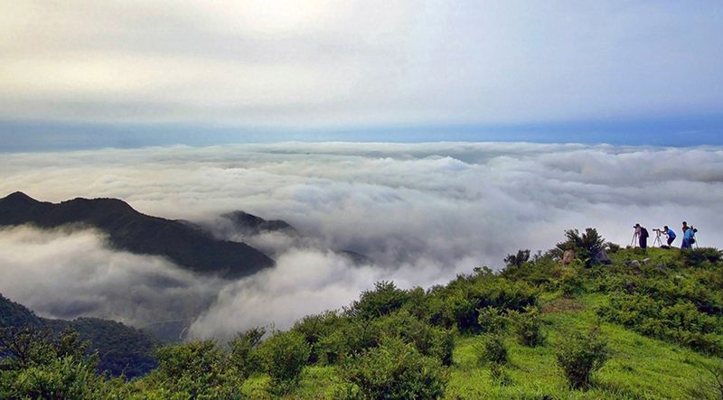 云浮禅龙峡木屋温泉小别墅价格