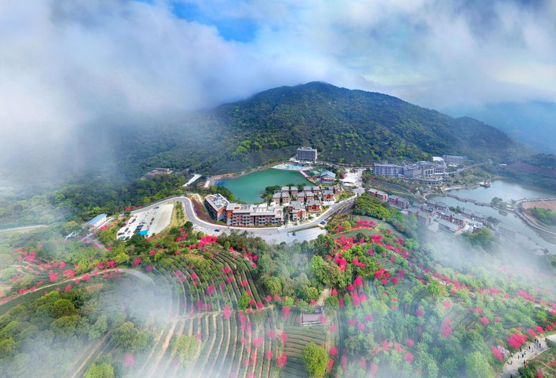 云浮禅龙峡木屋温泉小别墅价格