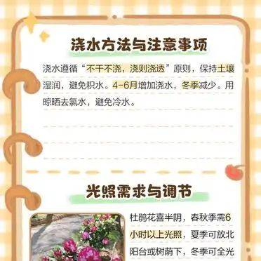 The method of planting the duches