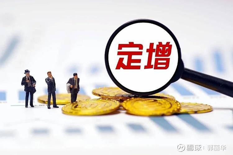 Value assessment and pricing studies for listed companies in merger restructuring