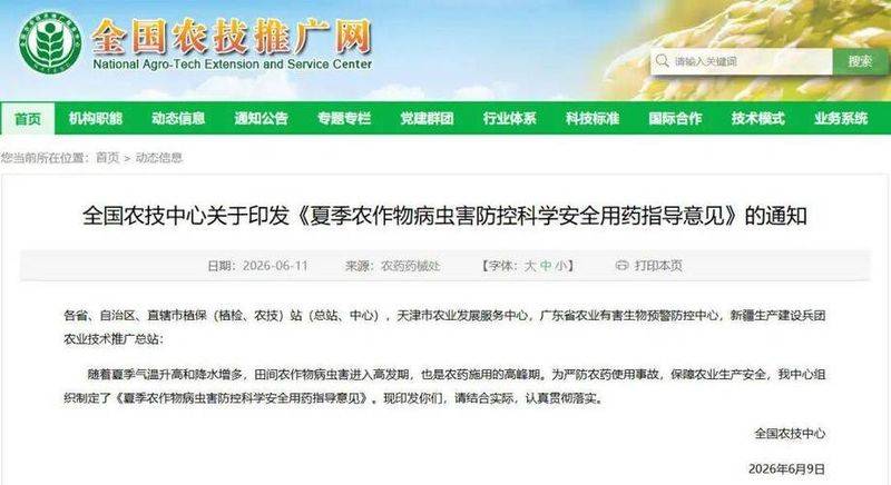 苦瓜种植技术与管理