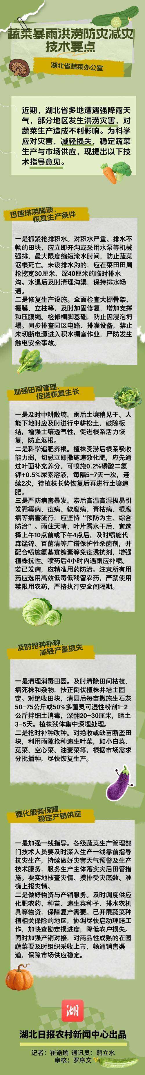 苦瓜种植技术与管理