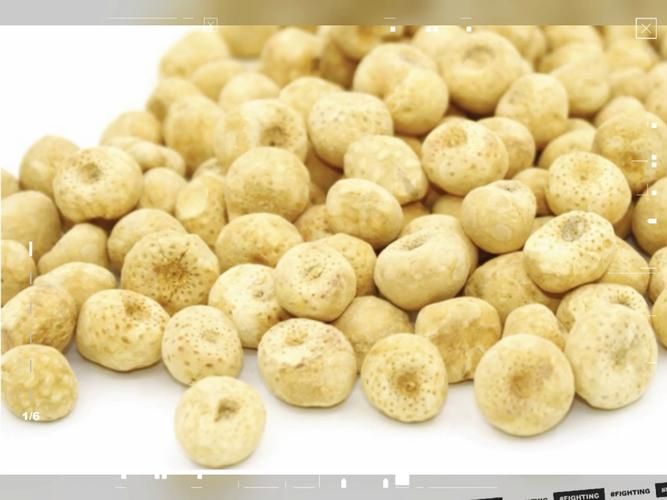 半夏种植技术实施方案