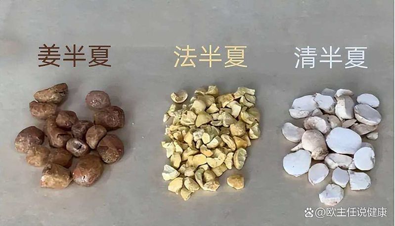 半夏种植技术实施方案