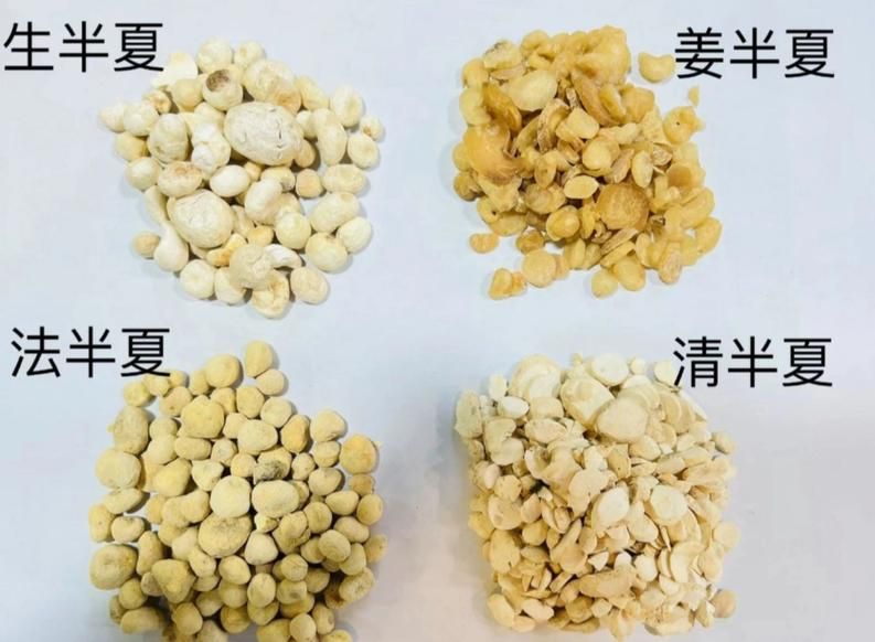 半夏种植技术实施方案