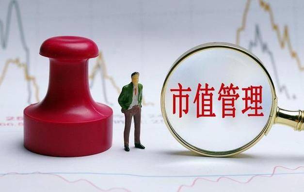 Value assessment and pricing studies for listed companies in merger restructuring