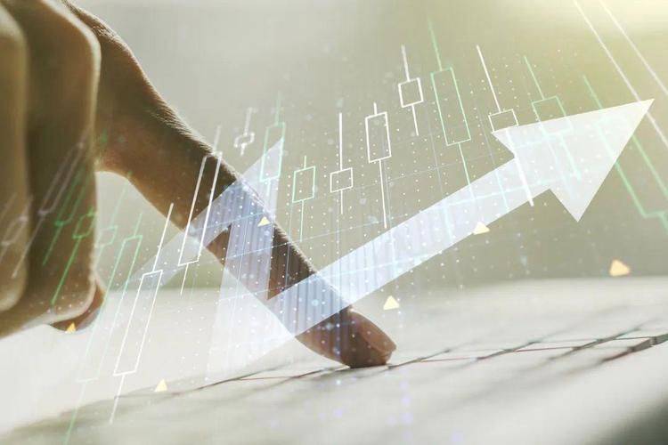 Value assessment and pricing studies for listed companies in merger restructuring