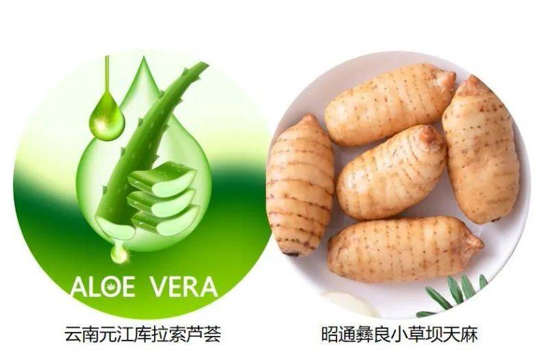 How does tianma grow