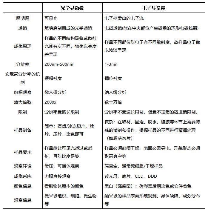 扫描电子显微镜的工作原理是什么