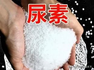 今日93油价多少钱一升