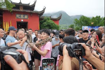 奎蛇知识