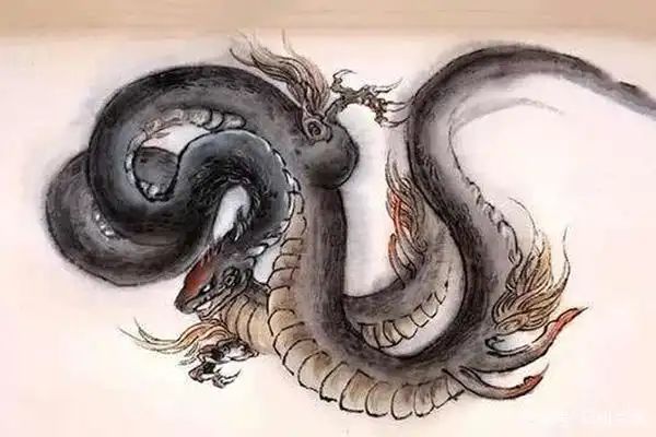 奎蛇知识