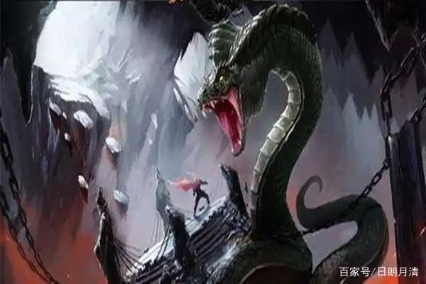 奎蛇知识