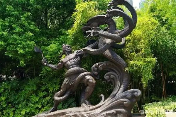 奎蛇知识