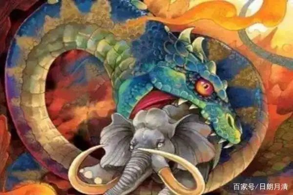 奎蛇知识