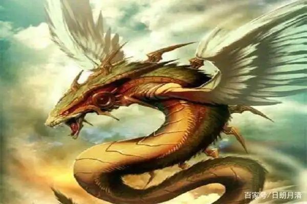 奎蛇知识