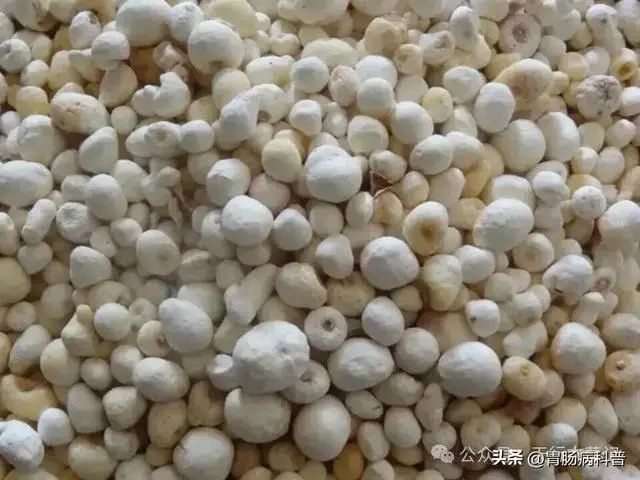 半夏种植技术实施方案