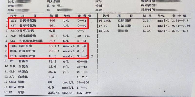 Phenopathology of lung cancer