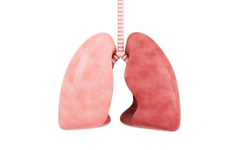 Phenopathology of lung cancer