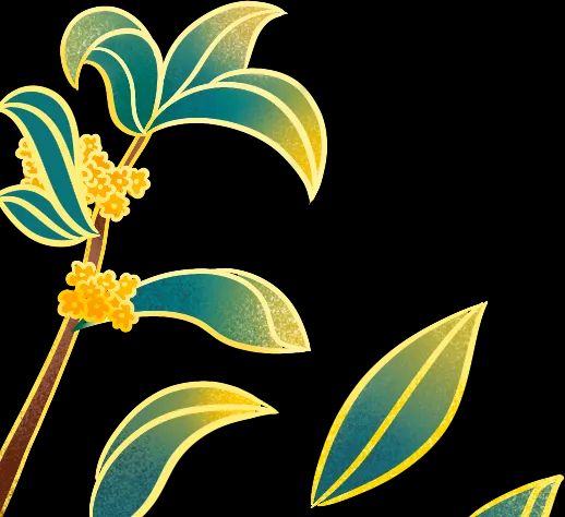 半夏种植技术实施方案