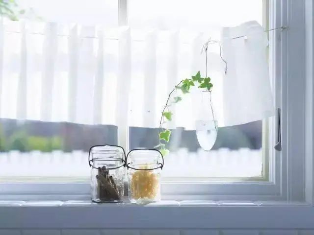 花卉种植技术大全