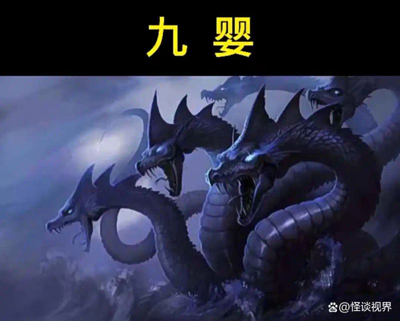 奎蛇知识